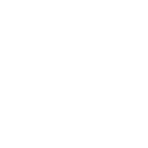 Daniel Defense