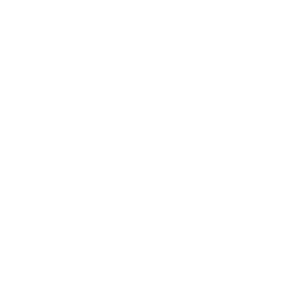 Sig Sauer