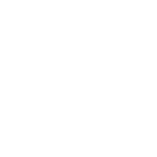 Stag Arms